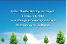 COP15 kicks off in China's Kunming with ecological civilization in spotlight